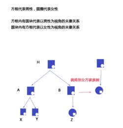 家连·心桥 以智能设备和互联网重塑家族情感纽带的社交平台